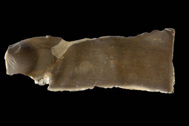 Buz Devri çakmaktaşı keskisi Neandertaller tarafından yaklaşık 80.000 yıl önce yapılmış. Siyah bir arkaplan ile izole edilmiş