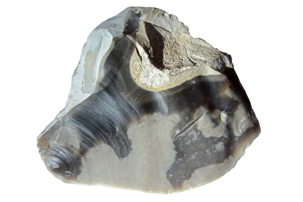 Ice Age Flint Scraper Made Neanderthals Dated Approximately 000 Years — Stock Photo, Image