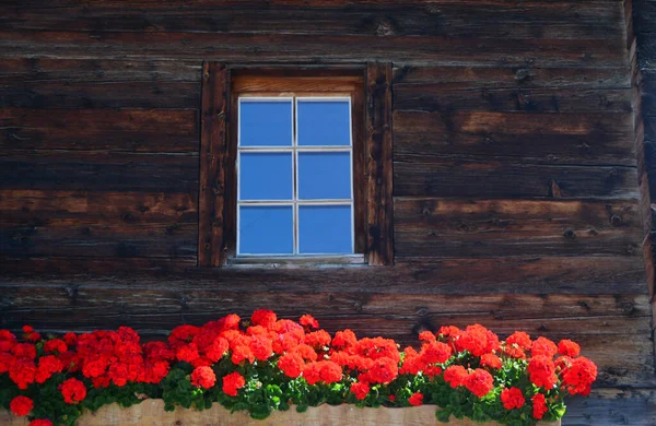 長い窓ボックスに空と赤いゼラニウムを反映した窓付きの古いシャレー — ストック写真