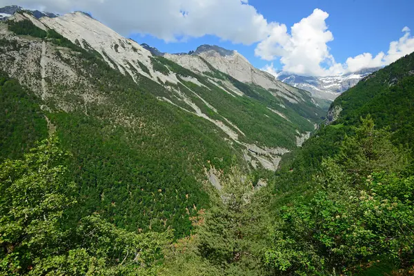 Dolina Derborance Alpach Szwajcarskich Rezerwat Przyrody Oddali Szczyt Lodowca Haut — Zdjęcie stockowe