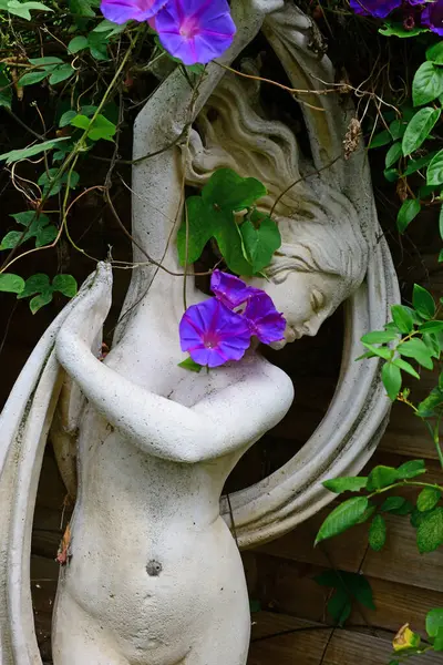 Статуя Богини Афродиты Тенистом Саду Утренней Лозой Славы — стоковое фото