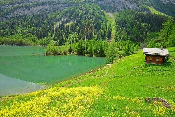 可俯瞰宁静山湖的草地上的小木屋 南部斯威斯阿尔卑斯山中的德波朗斯湖 免版税图库图片