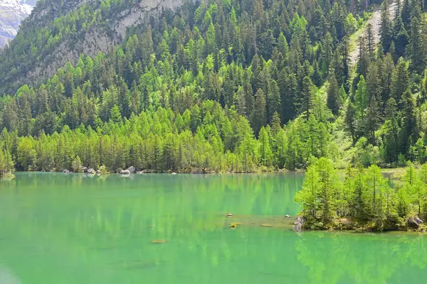 Montanha Lago Com Diferentes Tons Pinheiros Verdes Nos Alpes Suíços Imagem De Stock