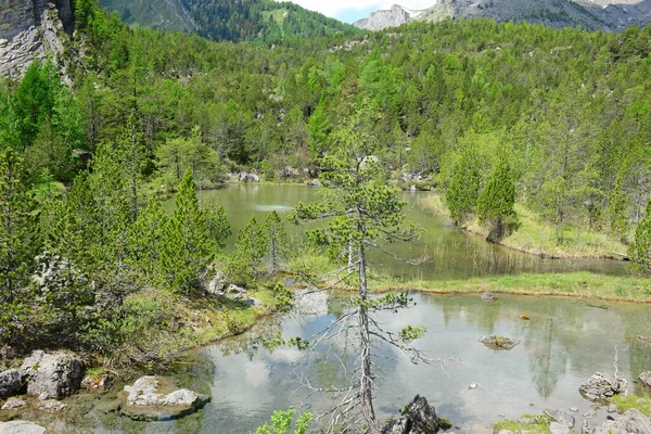 Basen Górski Alpach Szwajcarskich Dolinie Derborance Pod Lodowcem Diablerets Zdjęcie Stockowe