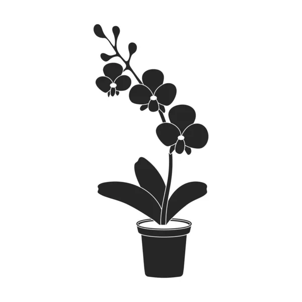 Ícone Preto Vetorial Flowerpot Vector Vaso Flores Ilustração Fundo Branco — Vetor de Stock