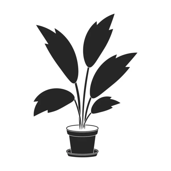 Flowerpot Vecteur Icône Noire Illustration Vectorielle Pot Fleurs Sur Fond — Image vectorielle