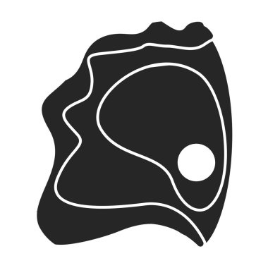 İstiridye vektör simgesi. Siyah vektör logosu beyaz arka planda izole edilmiş istiridye..