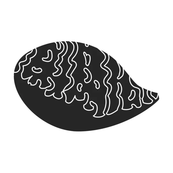 ไอคอนเวกเตอร Oyster โลโก เวกเตอร าแยกจากหอยนางรมพ นหล ขาว — ภาพเวกเตอร์สต็อก