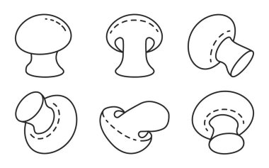 Champignon vektör çizgisi simgesi. Beyaz arka planda vektör illüstrasyon mantar şampiyonu. Taslak simge mantarı.