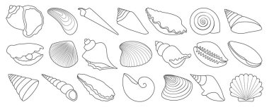 Shell vector outline set icon. Vector illustration set shell sea. Isolated outline icons seashell on white background .