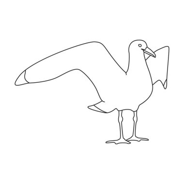 Bird gull vector icon.Outline vector logo isolated on white background bird gull.