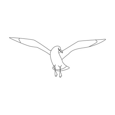 Bird gull vector icon.Outline vector logo isolated on white background bird gull.