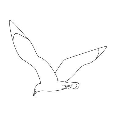 Bird gull vector icon.Outline vector logo isolated on white background bird gull.