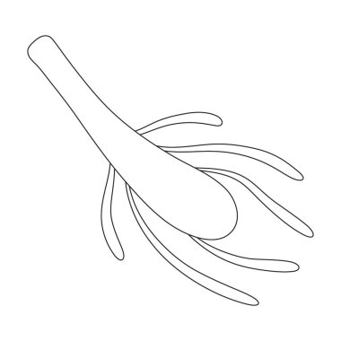 Plankton vector icon.Outline vector logo isolated on white background plankton.