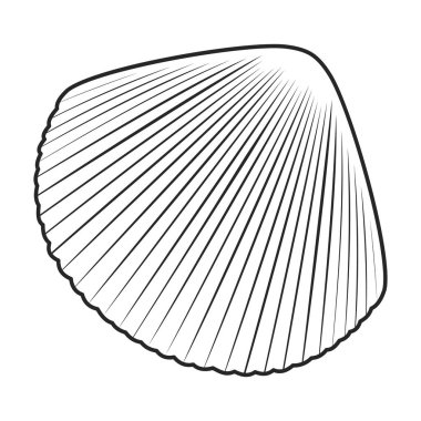 Shell sea vector outline icon. Vector illustration sea shell on white background. Isolated outline illustration logo of seashell.