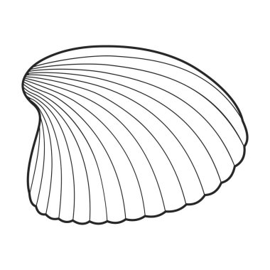 Shell sea vector outline icon. Vector illustration sea shell on white background. Isolated outline illustration logo of seashell.