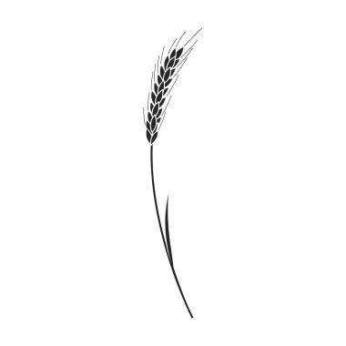 Wheat vector icon.Black vector logo isolated on white background wheat.