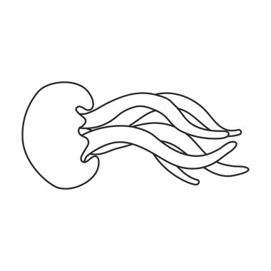 Jellyfish vector icon.Outline vector logo isolated on white background jellyfish.