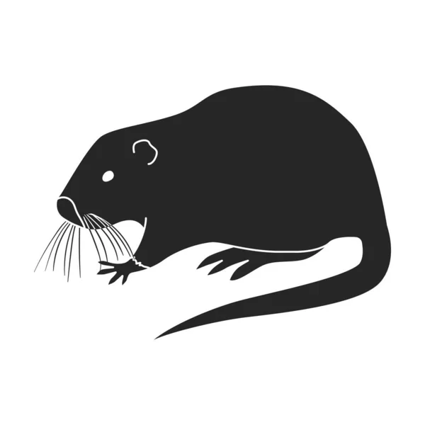 Черные Векторные Иконки Выделены Белом Фоне Крысы — стоковый вектор