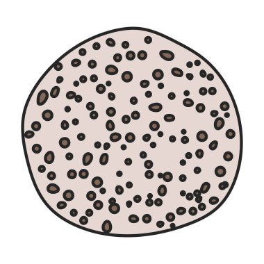 Amanita vector icon. Color vector icons isolated on white background amanita.