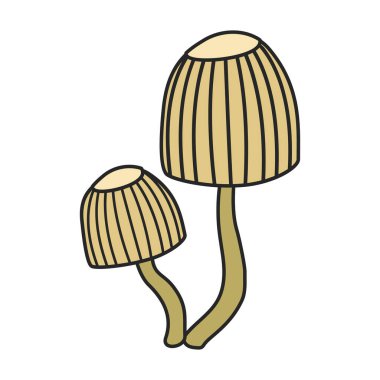 Amanita vector icon. Color vector icons isolated on white background amanita.