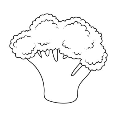 Broccoli vector icon. Outline vector icons isolated on white background broccoli.