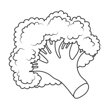 Broccoli vector icon. Outline vector icons isolated on white background broccoli.