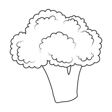 Broccoli vector icon. Outline vector icons isolated on white background broccoli.