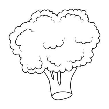 Broccoli vector icon. Outline vector icons isolated on white background broccoli.