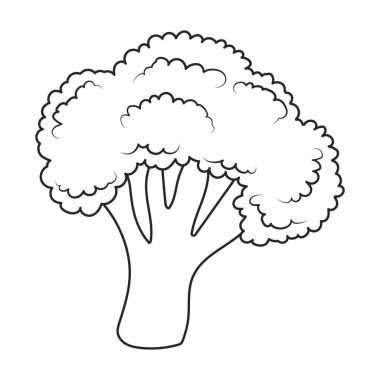 Broccoli vector icon. Outline vector icons isolated on white background broccoli.