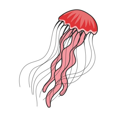 Denizanası vektör simgesi. Beyaz arka plan denizanası üzerinde izole edilmiş renk vektör logosu..