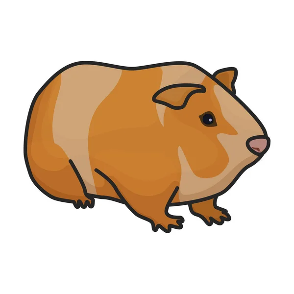 Ikona Wektora Szczurzego Logo Wektora Kolorów Izolowane Białym Szczurze Tła — Wektor stockowy