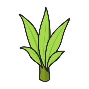 Şeker kamışı vektör simgesinin kökü. Şeker kamışının beyaz arka plan sapında izole edilmiş renk vektörü logosu. .