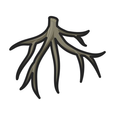 Şeker kamışı vektör simgesinin kökü. Şeker kamışının beyaz arka plan sapında izole edilmiş renk vektörü logosu. .