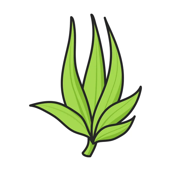 Stem Sugar Cane Vector Icon Color Vector Logo Isolated White — Stock Vector