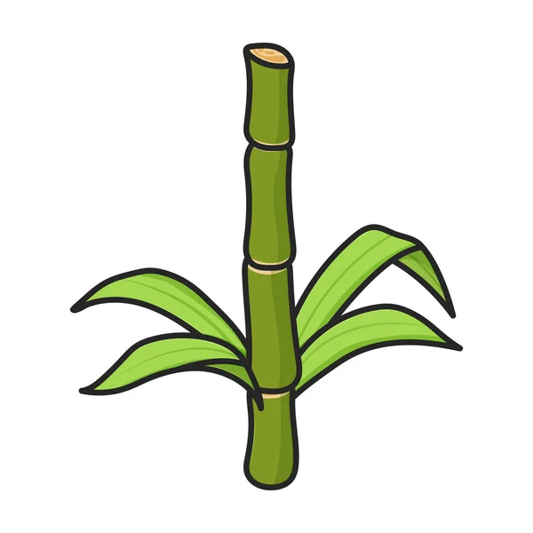 甘蔗茎图标 甘蔗白色背景茎上的彩色矢量标识 — 图库矢量图片