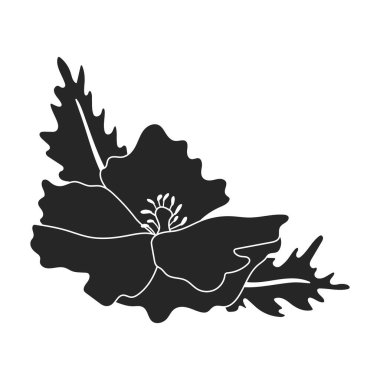 Haşhaş çiçeği vektörü siyah simgesi. Beyaz arka planda vektör illüstrasyon afyon kırmızısı. Kırmızının izole edilmiş siyah çizim logosu.