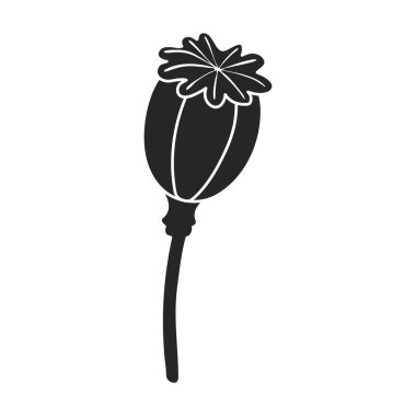 Haşhaş çiçeği vektörü siyah simgesi. Beyaz arka planda vektör illüstrasyon afyon kırmızısı. Kırmızının izole edilmiş siyah çizim logosu.