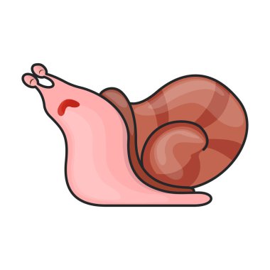 Salyangoz vektör simgesi. Beyaz arka plan salyangozunda renk vektör logosu izole edildi .