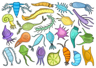 Plankton vektör renk seti simgesi. İzole edilmiş renk seti simgeleri fitoplanktonlar. Beyaz arkaplanda vektör illüstrasyon planktonları.