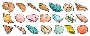 Kabuk vektör renk seti simgesi. Vektör illüstrasyonu deniz kabuğu olarak ayarlandı. Beyaz arkaplanda izole edilmiş renk simgeleri .