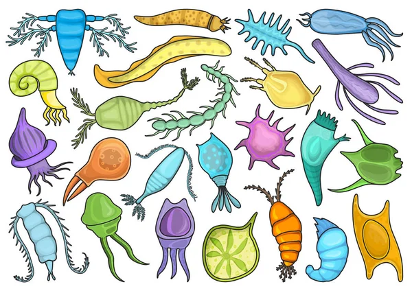 Ikon Pengaturan Warna Vektor Plankton Warna Terisolasi Menata Ikon Fitoplankton - Stok Vektor