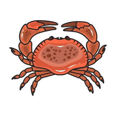 Deniz Yengeci vektör simgesi. Beyaz arkaplan yengeci üzerinde izole edilmiş renk vektör logosu. .