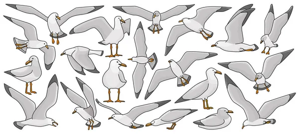 Bird Gull Vetor Cor Definir Ícone Ilustração Vetorial Gaivota Sobre — Vetor de Stock