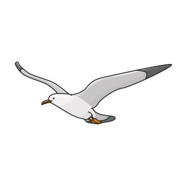 Kuş martı vektör simgesi. Renk vektör logosu beyaz arkaplan kuş martısında izole edildi.