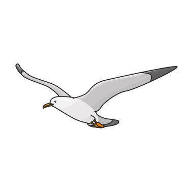 Bird gull vector icon.Color vector logo isolated on white background bird gull. clipart