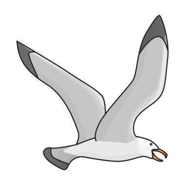 Kuş martı vektör simgesi. Renk vektör logosu beyaz arkaplan kuş martısında izole edildi.