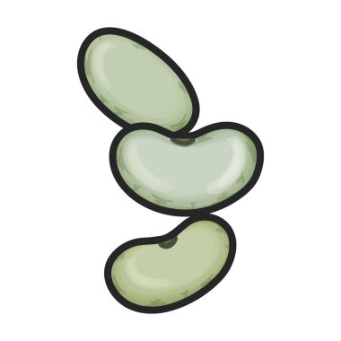 Fasulye vektör renk simgesi. Beyaz arka planda vektör illüstrasyon fasulyesi. Fasulyelerin izole renk çizimi logosu .