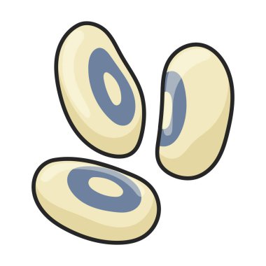 Beyaz fasulye vektör simgesi. Beyaz fasülye üzerinde renk vektör logosu izole edildi.