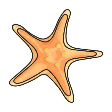 Denizyıldızı vektör simgesi. Beyaz arka planda izole edilmiş renk vektör logosu..